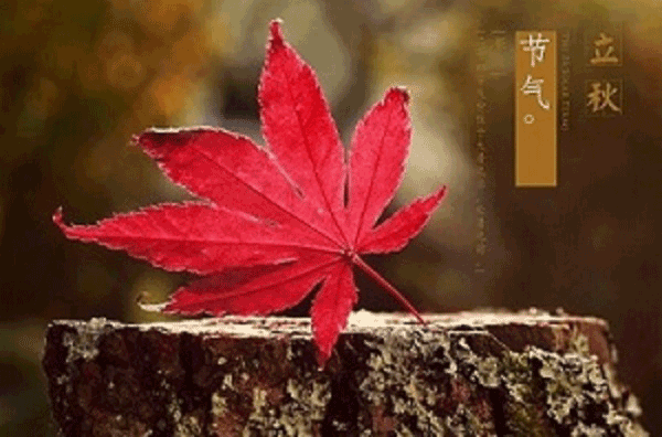 攝圖網_500409930.gif 攝圖網_500409930.gif